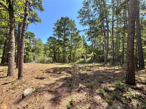 tbd 13 Sparrow, Trinity, TX 75862 photo 6