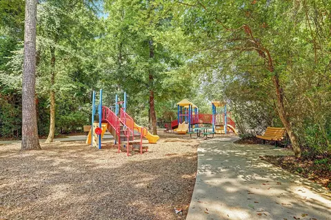 View/Area - 31734 Serrano Bluff Ln, Spring, TX 77386 photo 3 of 3