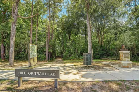 View/Area - 31734 Serrano Bluff Ln, Spring, TX 77386 photo 1 of 3