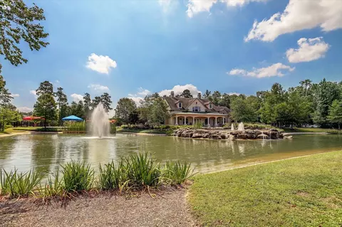 View/Area - 31734 Serrano Bluff Ln, Spring, TX 77386 photo 2 of 3