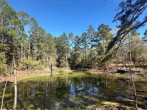 38 Ac Cr 263, Buffalo, TX 75831