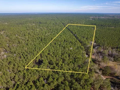000 Forest Service Road 527, Apple Springs, TX 75926