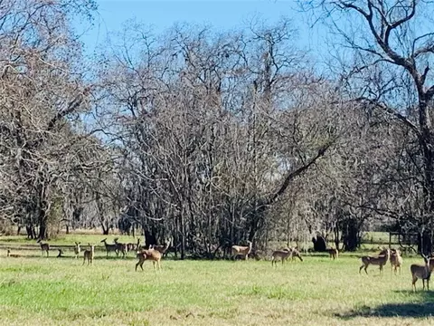 101 Trailblazer Dr, Angleton, TX 77515 photo 14