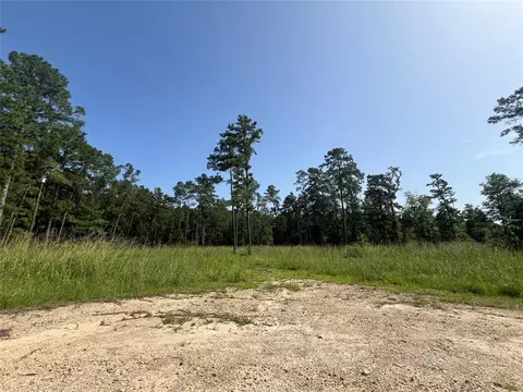 9537 State Highway 146 S, Livingston, TX 77351
