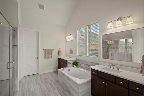 Bath - 20330 Rosegold Way, Spring, TX 77379 photo 1 of 6