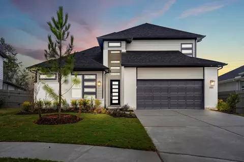 17307 Sunflower Petals Trl, Conroe, TX 77302