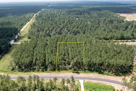 15291 Forest Grove Dr, Willis, TX 77378