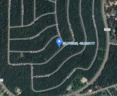 lot S 448 449 450 Wood Frst, Livingston, TX 77351