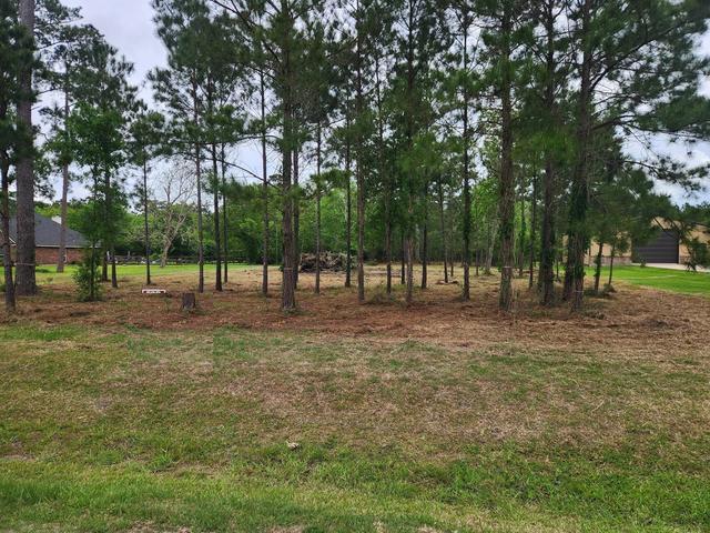 7203 Bayou Timbers Dr, Alvin, TX 77511