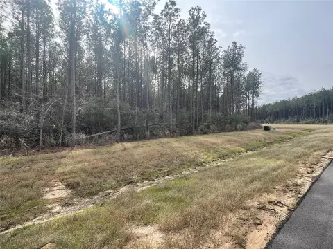 16031 Forest Mill Rd, Willis, TX 77378 photo 8