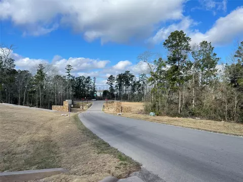 16031 Forest Mill Rd, Willis, TX 77378 photo 9