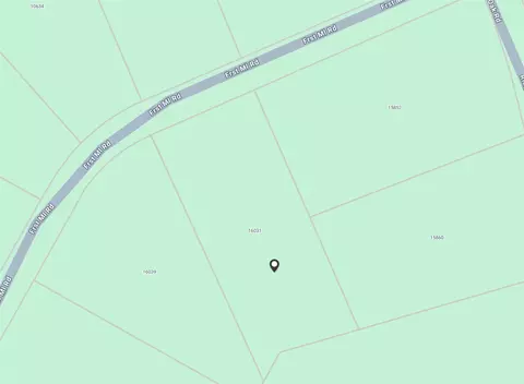 16031 Forest Mill Rd, Willis, TX 77378 photo 12