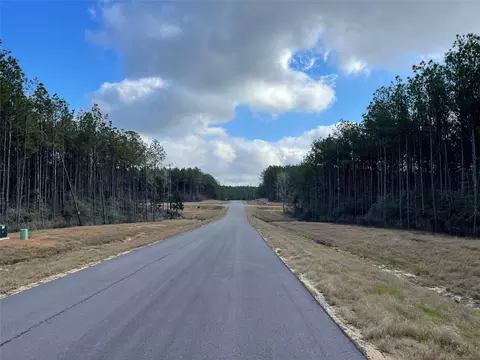 16031 Forest Mill Rd, Willis, TX 77378 photo 3