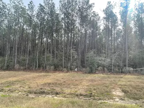 16031 Forest Mill Rd, Willis, TX 77378 photo 6