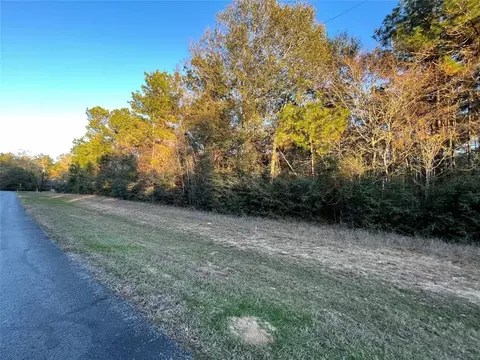 28921 Mustang Dr, Waller, TX 77484