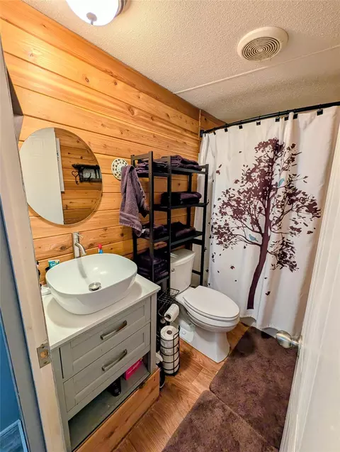 Bath - 346 Lakeside Cir, Trinity, TX 75862 photo 4 of 5