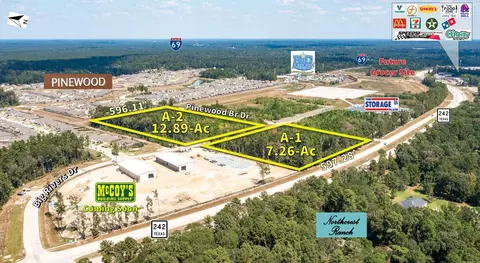 tbd Hwy 242 And Big Rivers Rd, New Caney, TX 77357