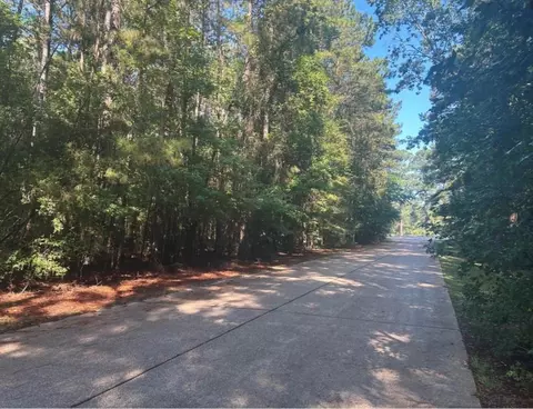 lot16 Forse St, Woodville, TX 75979
