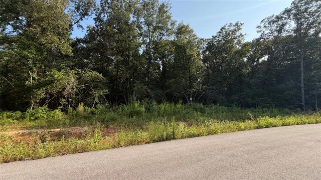 217 Kings Ct, Dayton, TX 77535