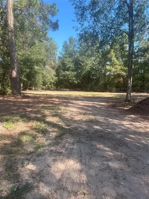 0 Witt Circle Rd, Spring, TX 77373 photo 3