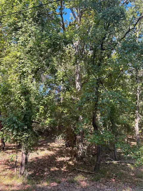 tbd Joanna Hl, Livingston, TX 77351
