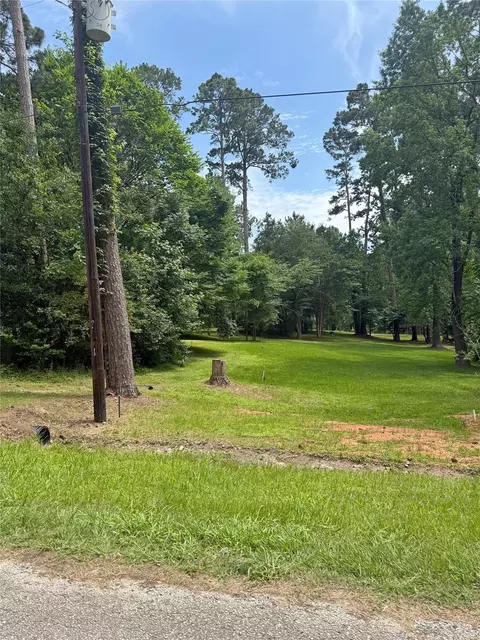 Other - 192 Sam Houston Loop, Point Blank, TX 77364 photo 9 of 9