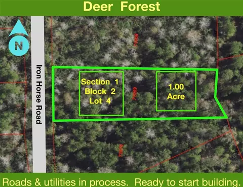 284 Iron Horse Rd, New Waverly, TX 77358