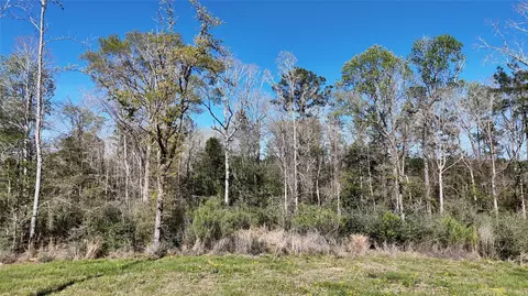 tbd 8 9 Aggie Ave, Livingston, TX 77351