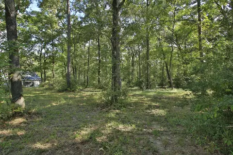 Exterior - 1547 Ruby Dr, Willis, TX 77378 photo 11 of 12