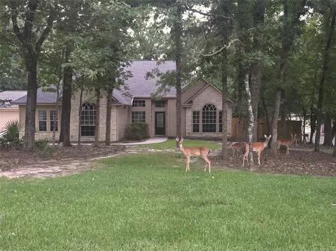 Exterior - 2312 Carriage Run E, Conroe, TX 77384 photo 13 of 13