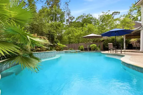 38 Dovewing Pl, The Woodlands, TX 77382