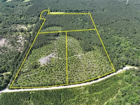 38 Groveton Flat Prairie Rd, Groveton, TX 75854