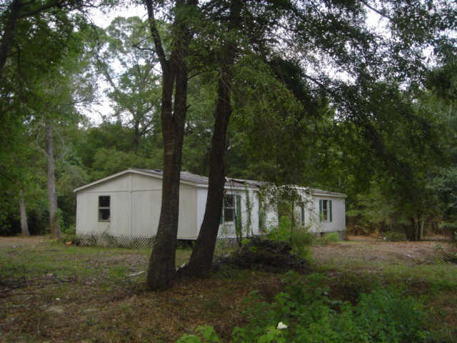 111 Pepper Tree, Shepherd, TX 77371 photo 1