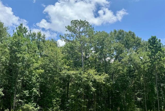 lot14 Riverstone Dr, Livingston, TX 77351