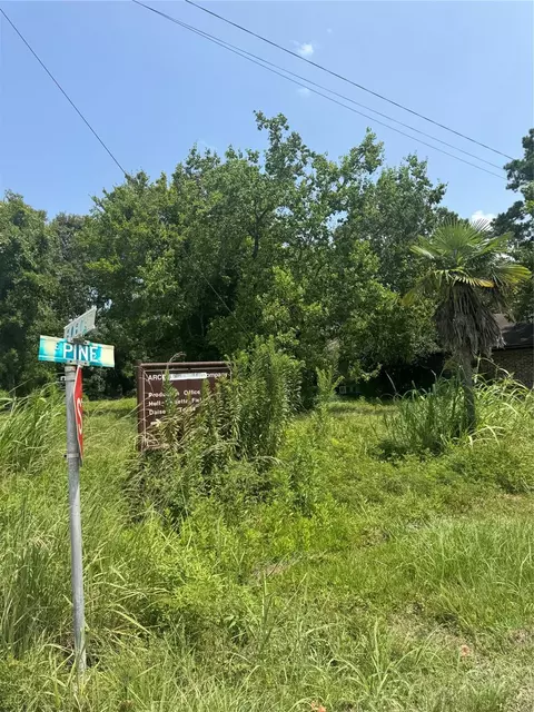 Other - 501 Bobcat Ln, Daisetta, TX 77533 photo 5 of 5