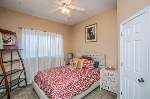 Bedroom - 6242 Agassi Ace Ct, Spring, TX 77379 photo 5 of 7