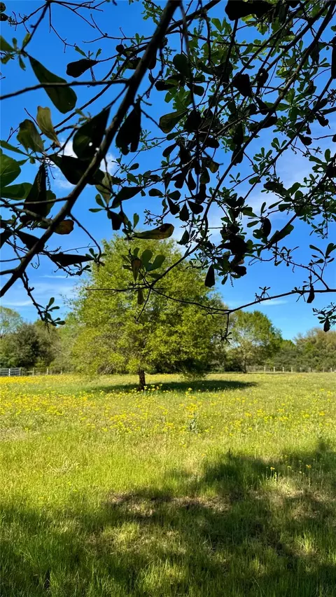0 Meadow Creek Rd, Hockley, TX 77447