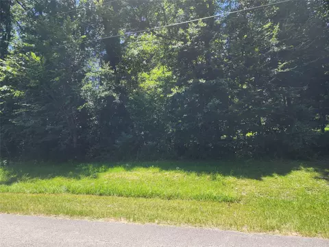 tbd Northwoods Drive Dr, Point Blank, TX 77364