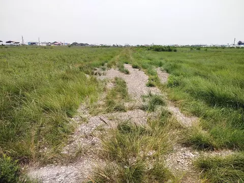 226 Terrapin St, Sargent, TX 77414