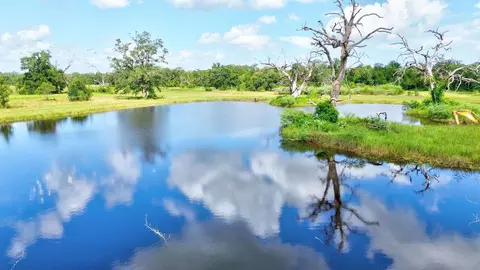 4 Fm 521, Angleton, TX 77515 photo 6