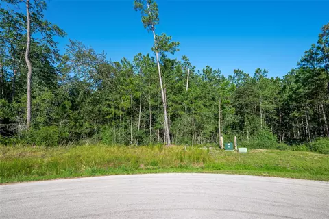 102 Eagle Run Rd, Willis, TX 77378 photo 2