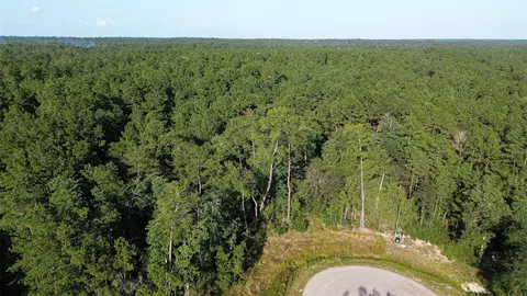 102 Eagle Run Rd, Willis, TX 77378 photo 9