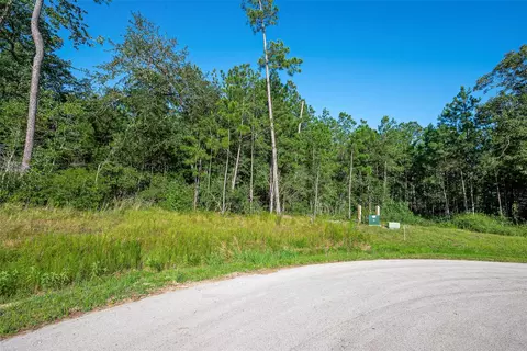 102 Eagle Run Rd, Willis, TX 77378