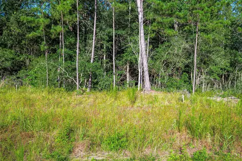 102 Eagle Run Rd, Willis, TX 77378 photo 5
