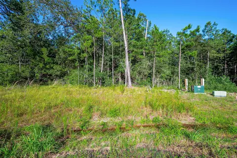 102 Eagle Run Rd, Willis, TX 77378 photo 4
