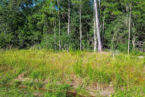 102 Eagle Run Rd, Willis, TX 77378 photo 3