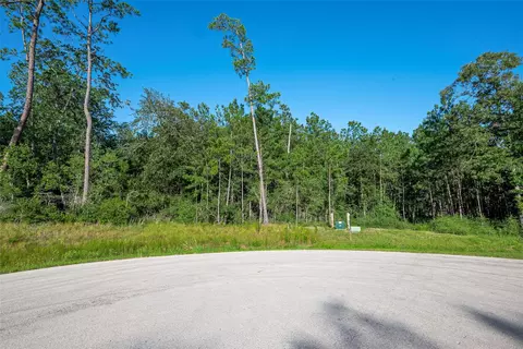 102 Eagle Run Rd, Willis, TX 77378 photo 6