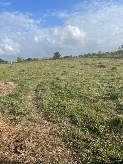 1010 County Road 595 Dr, Angleton, TX 77515