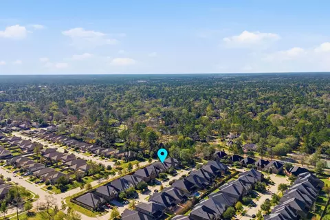 View/Area - 127 Deerchase Dr, Conroe, TX 77384 photo 4 of 4