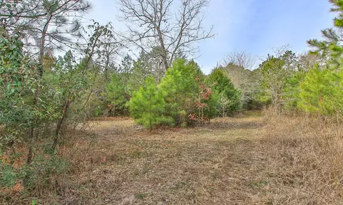 495 Pinecrest Dr, Point Blank, TX 77364 photo 22
